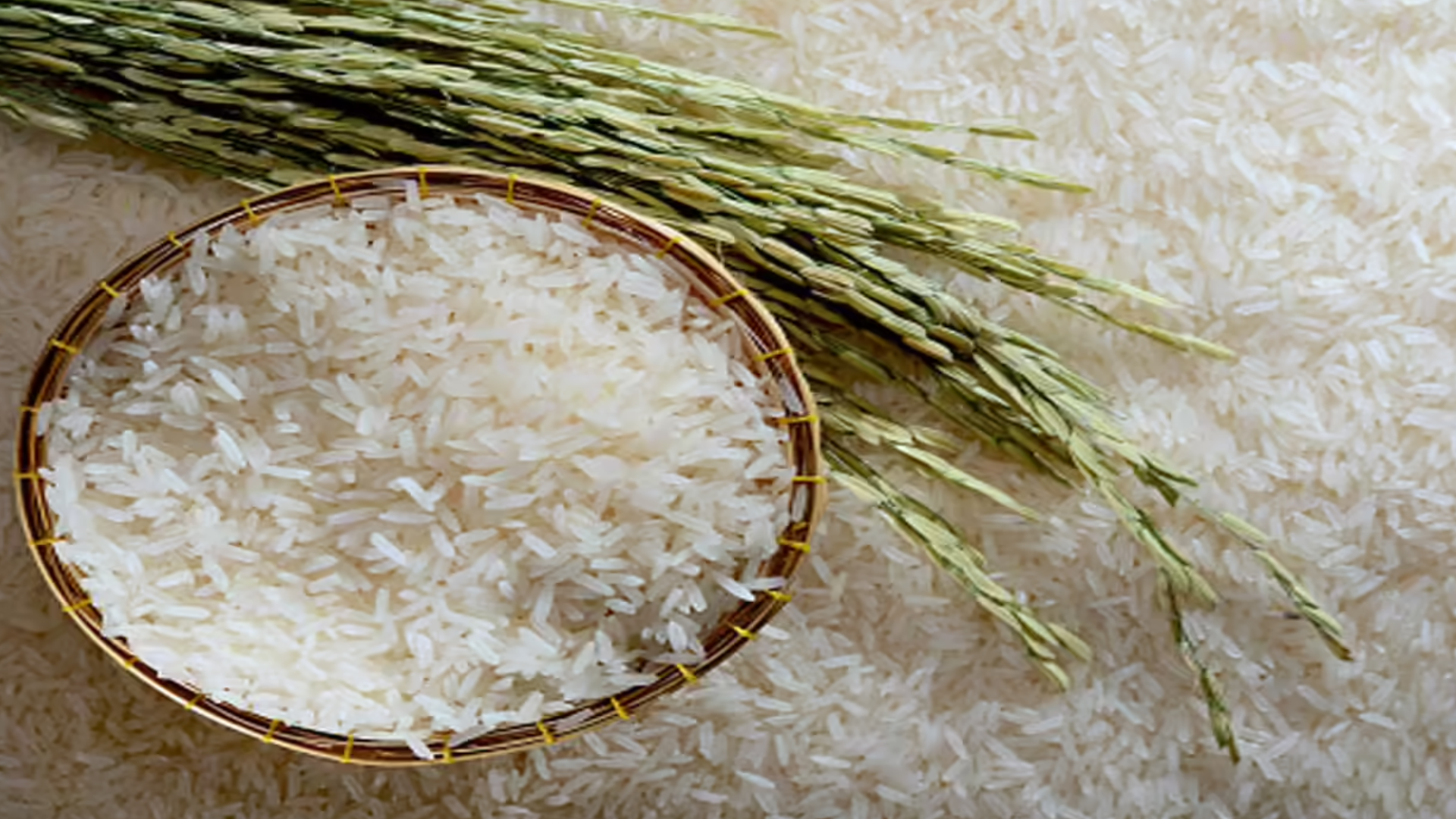 India Pours Record Rice Crop Into Ethanol Amid Surplus Stocks